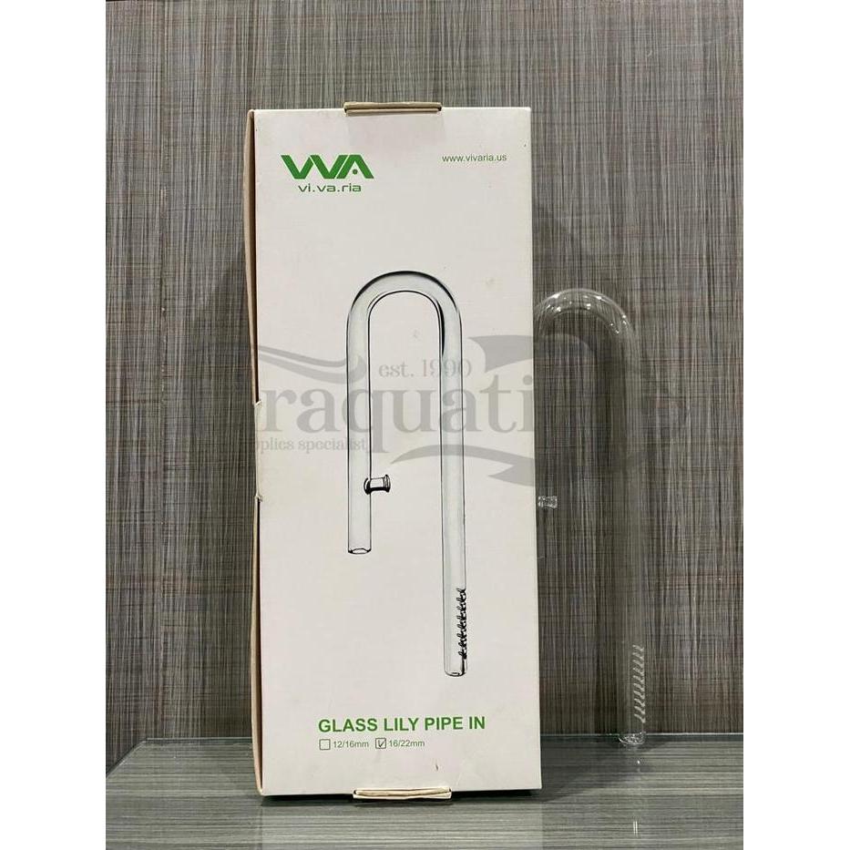 VIVARIA GLASS LILY PIPE INFLOW 16/22 IN 17MM PIPA FILTER CANISTER