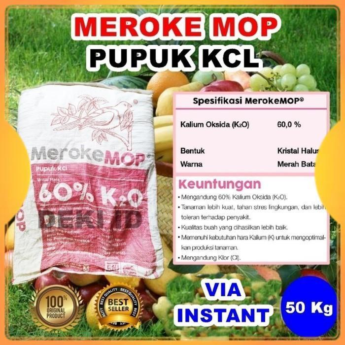MOP Meroke 50 Kg Pupuk KCL Via Instan Kemasan Pabrik Tanaman Buah Sayur