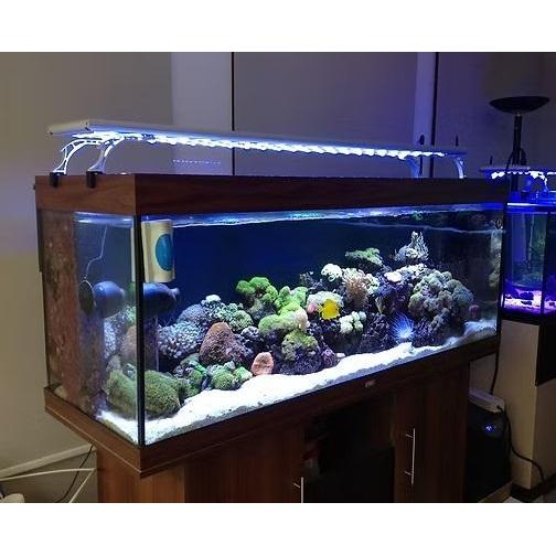 Aquarium Fulset Cabinet Meja 100cm  Paket Sump filter pump kode A05