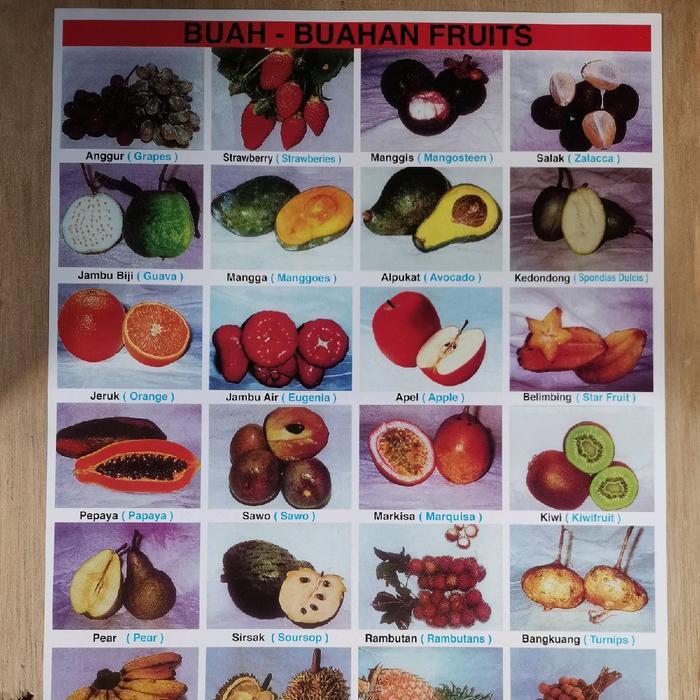 Poster Edukasi Gambaran Buah Buahan Sayuran Dan Hewan Kertas Duplex 34x48cm Edukatif Anak Untuk