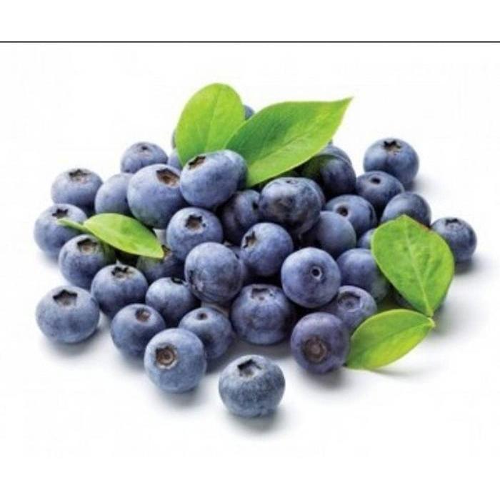 TFA 1 OZ BLUEBERRY EXTRA FLAVOUR REPACK NOT BOTOL KACA 30ML