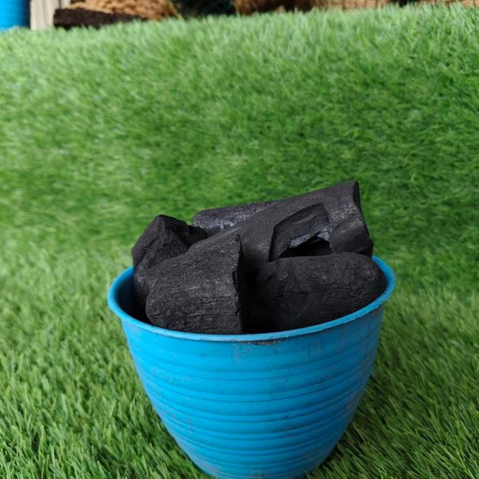 Serasiinspace 1Kg Media Tanam Kayu Pinus Merah Tanaman Anggrek Bunga Kelapa Pohon