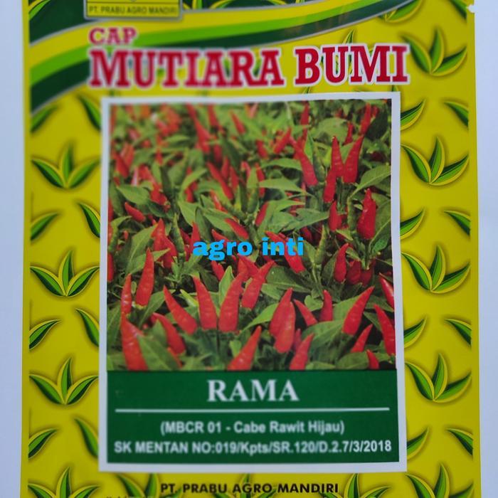 Benih cabe rawit hijau RAMA isi 10gram cap Mutiara Bumi