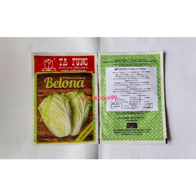 Benih Kubis Sawi Putih Belona F1 10 Gram Chinese Cabbage Hibrida Dari Tafung Belona Redy Stok