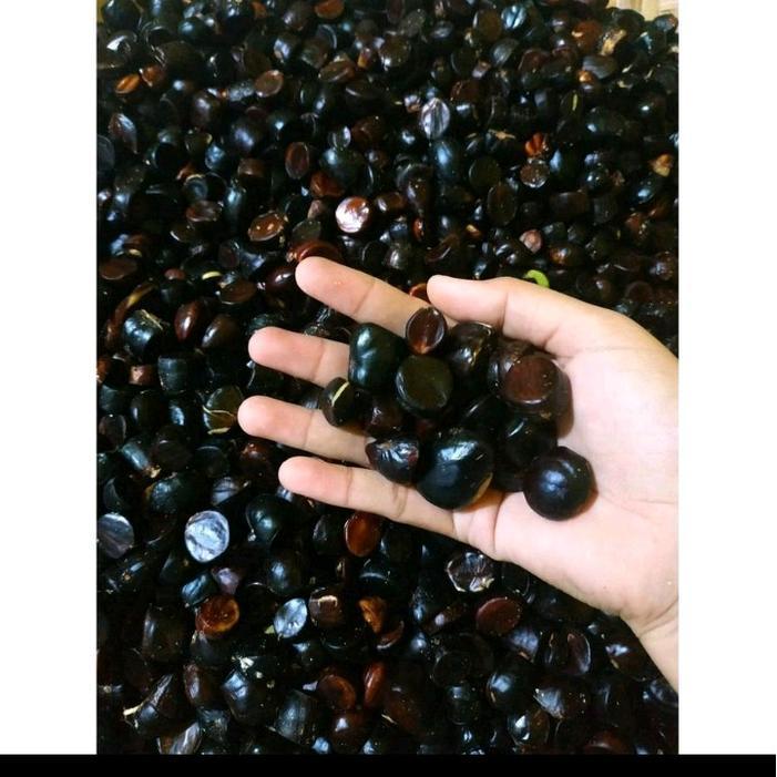 KABAU KIKIM KABAU BIASA MAKANAN KERING PALEMBANG