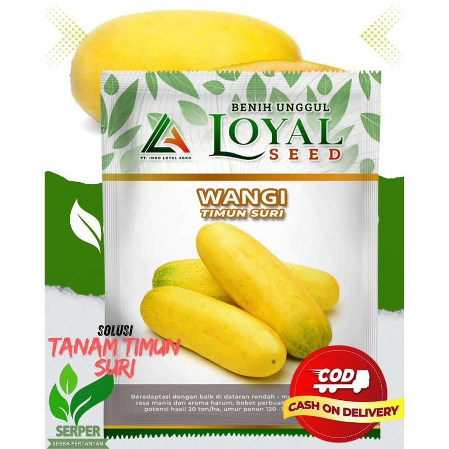 Najwa Gadget Benih Mentimun Suri Wangi 10 Gram