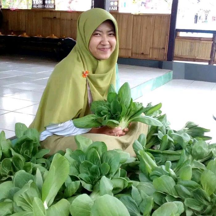 Serasiinspace Benih Bibit Caisim Sawi Daging Nauli F1 Isi 10 Gram Kadaluarsa 2026 (Tidak Pahit Tahan