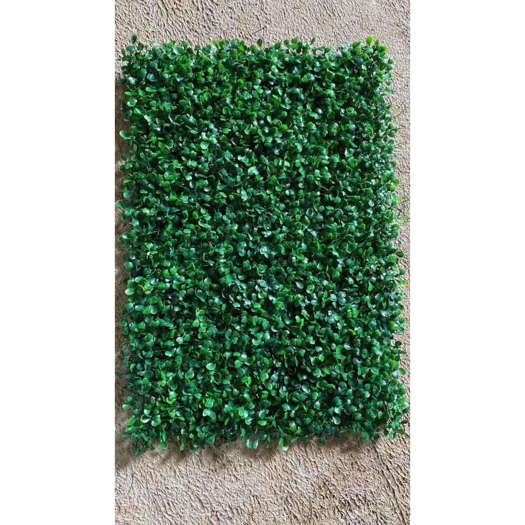 "New" TANAMAN SINTETIS RAMBAT - DAUN SINTETIS DOLAR - TANAMAN DOLAR SINTETIS