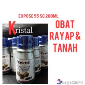 EXPOSE obat rayap kayu dan tanah