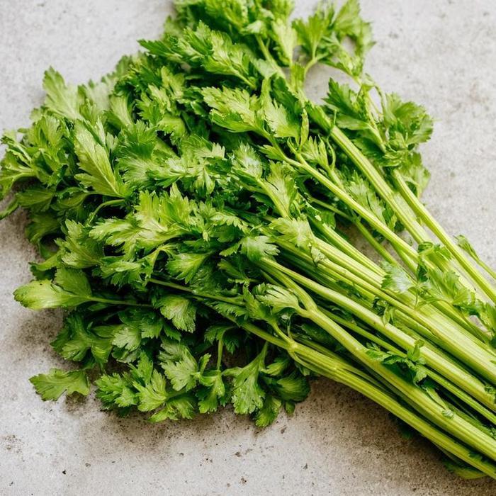 "New" Benih Bibit Seledri - Celery Kemasan Repack Import