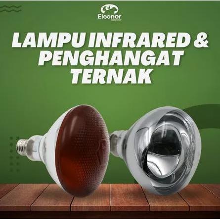 Lampu Penghangat Ternak Anakan Domba Kambing Sapi Babi