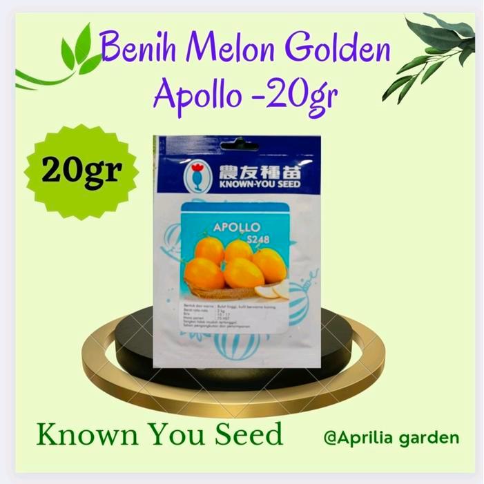 Benih Melon Golden Apollo F1 20gram Original Known You Seed