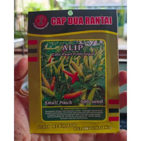 BIBIT BENIH 500 BIJI CABAI ALIP LOMBOK RAWIT KECIL HIJAU BENIH UNGGUL