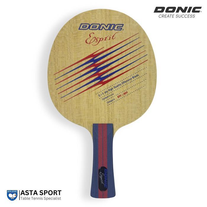 READY DONIC Esprit Carbon / Bet Tenis Meja Pingpong