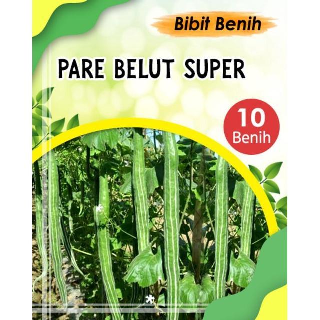 10 BIJI BENIH PARE BELUT SUPER / BIBIT PARE BELUT ULAR TANAMAN