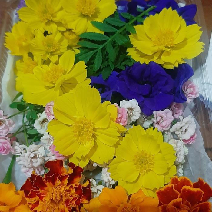 EDIBLE FLOWERS