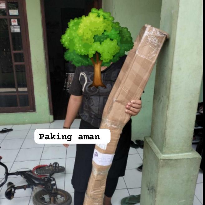 BIBIT TANAMAN BUAH MANGGA MAHATIR BERBUAH BERBUNGA