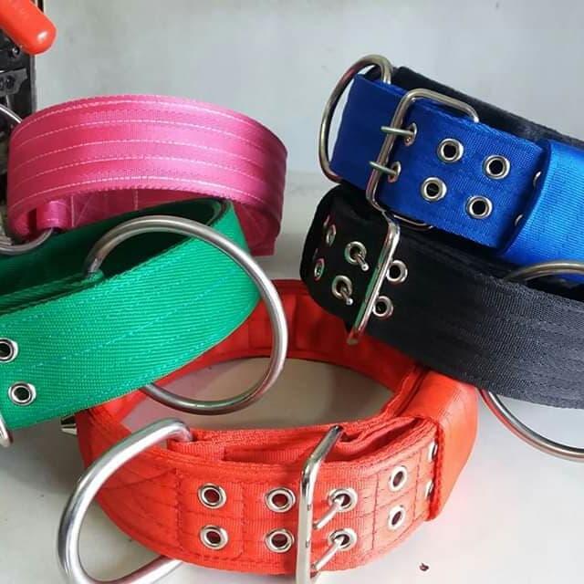 Premium Kalung Collar Pitbull Kalung Anjing Besar Anti Jebol Original