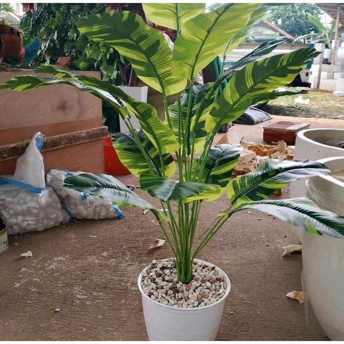 Tanaman hias tales jumbo x18 pohon hias/tanaman pisang/tanaman palem tinggi 70cm/bahan latek