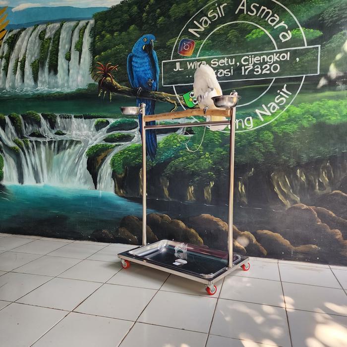 Ready Tangkringan Stainless Untuk Burung Kakak Tua Macaw Parrot Berkualitas