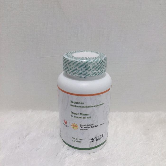 BINAHONG PLUS IKAN GABUS 50 KAPSUL ORIGINAL G BINAHONG KUTUK ORIGINAL - PROMO HEMAT