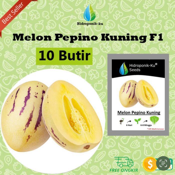Benih / Bibit Melon Pepino Kuning Melon Mini ( isi 10 Butir) Hidroponik Ku