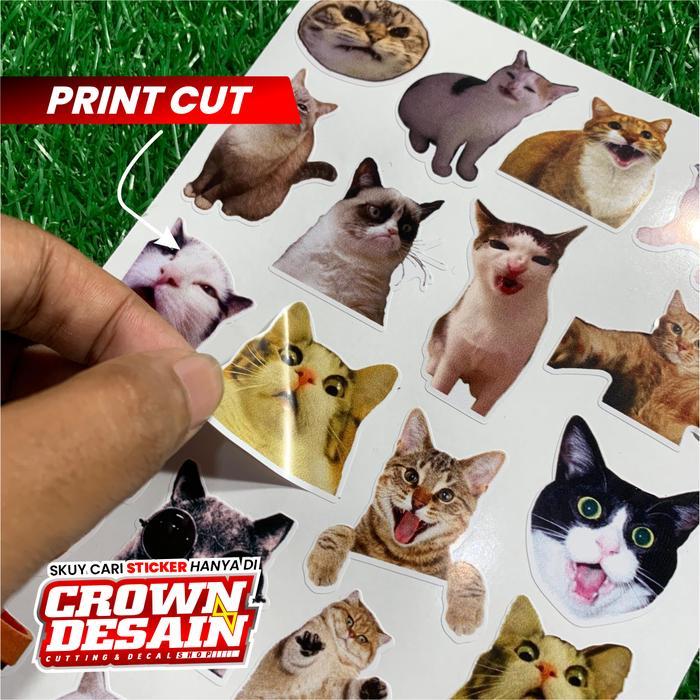 (100 PCS)Stiker Ekspresi Kucing Lucu Aesthetic Stiker Cat/Kucing Kawaii Dekorasi Lucu Kreatif untuk