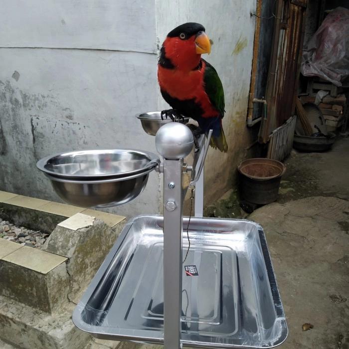 Tangkringan / Pangkringan Burung Kakatua,Bayan,Nuri