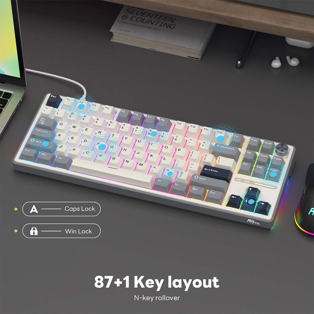 RK Royal Kludge RK R87Pro Gasket Wired Gamer Keyboard Hot-swappable 88 Keys Mechanical Keyboard 88%