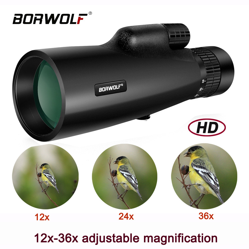 PROMO   Borwolf 12-36X50  Telescope BAK4 Prism Optical Lens High Power Hunting Birdwatching Monocula