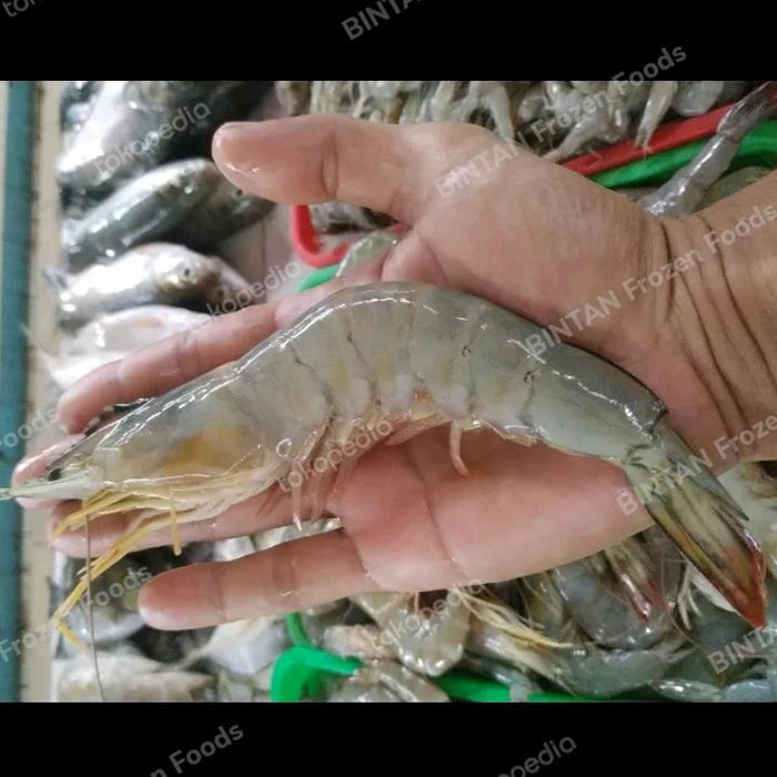 UdangPeciLautBesarSegar 1 Kg