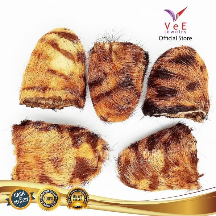 SIAPKIRIM Kantung Macan Kulit Loreng Bertuah - VeE Kantong Macan Barang Antik READY STOCK