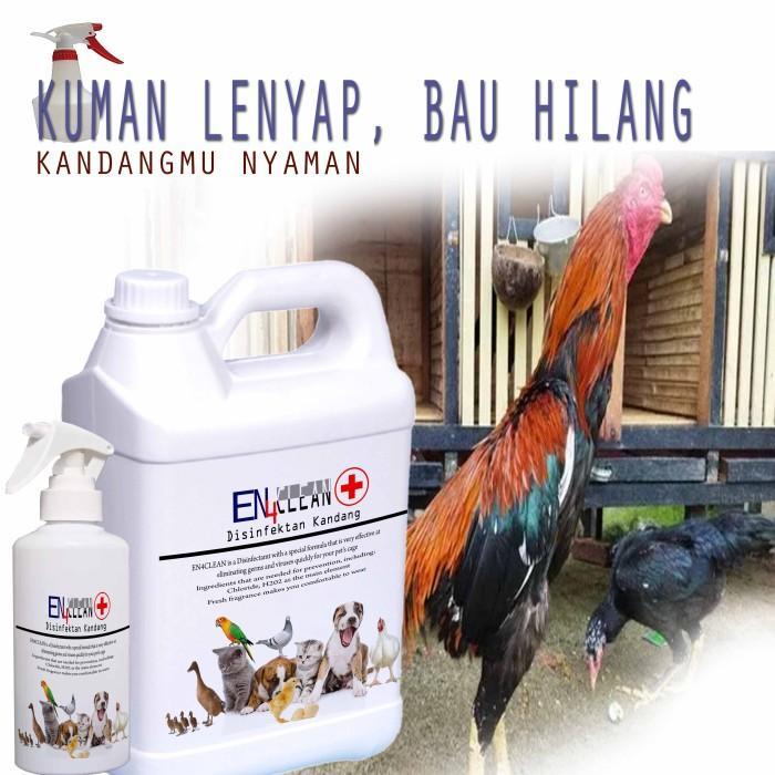 EN4 Clean Disinfektan kandang ayam 500ml sampai 5liter