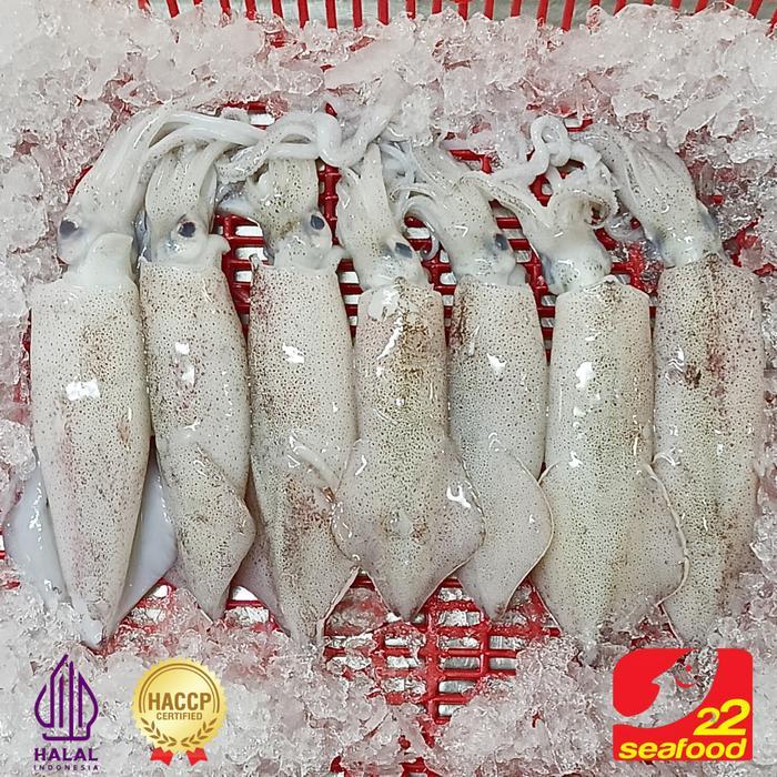 Frozen Cumi Cendol 500 gr / Cumi Kecil / Cumi Beku Kapal / Seafood 22