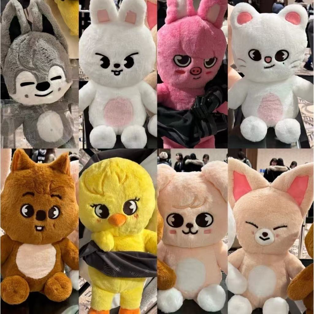 NEW Straykids Plush Doll Fan Gift SKZOO Plush Pillow Toy Seoul FM Week BBOKARI Magic School