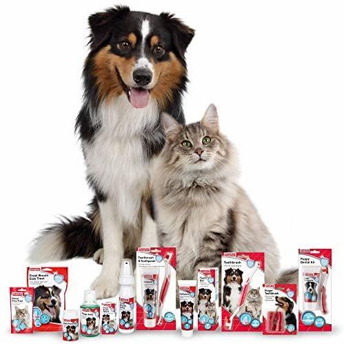 Dental Care Dog Cat Beaphar Mouthwash 250Ml 17064 Fresh Breath