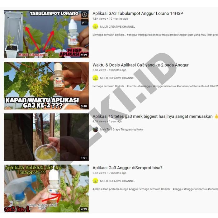 NEWW GA3 Bigest 40 EC 10 ml Hormon Giberelin Acid ZPT Tanaman Buah Anggur