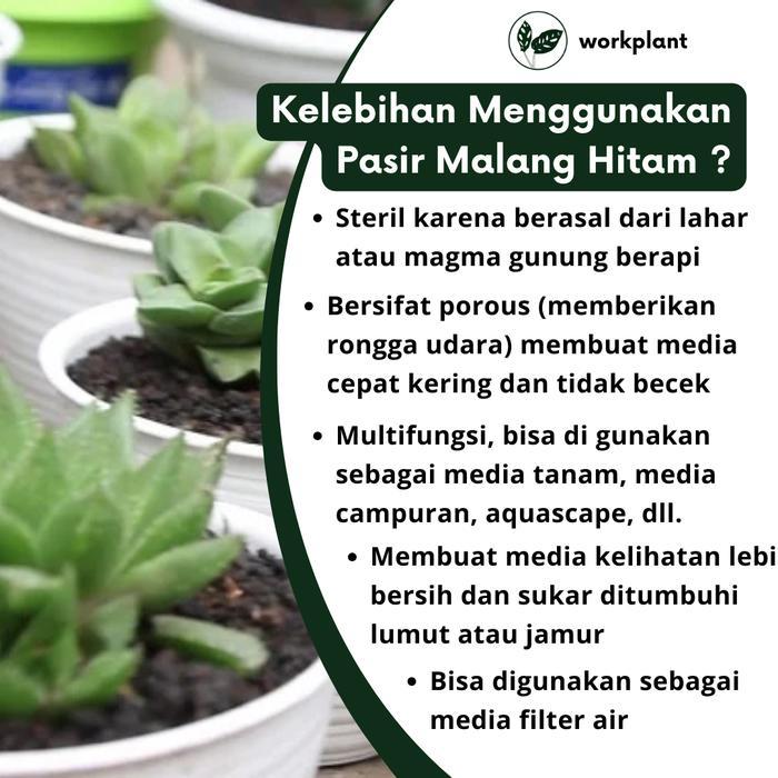 GARDEN" LAVA ROCK - PASIR MALANG HITAM VULCANIC SOIL PASMAL MEDIA TANAM