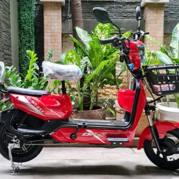 TERBARU Sepeda Listrik UWinfly Dragon Fly New Series