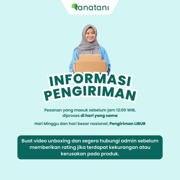 Avocado Booster 500Ml - Pupuk Cair Dan Zpt Untuk Stimulan Pembuahan Tanaman Alpukat Kemasan 500 Ml