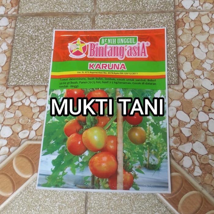 Benih Tomat Karuna 10 gram Bibit Tomat Karuna Bintang Asia