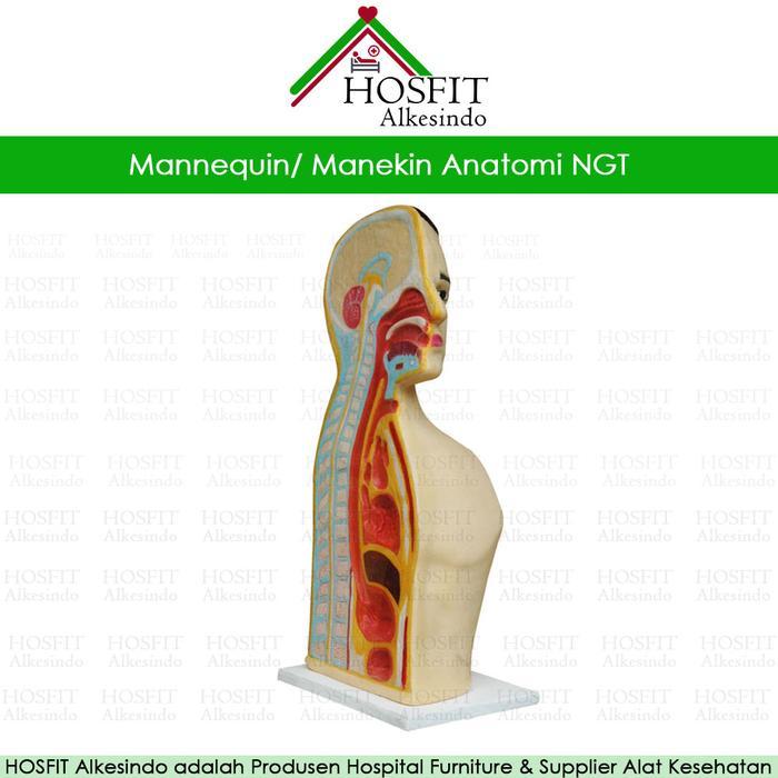 Manekin Ngt Silicon + Fiber Phantom Manikin Peraga Lokal