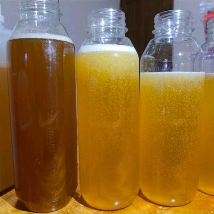 Botol Minum 500ml Tebal Botol Plastik 500 ml botol jus/madu SEGEL