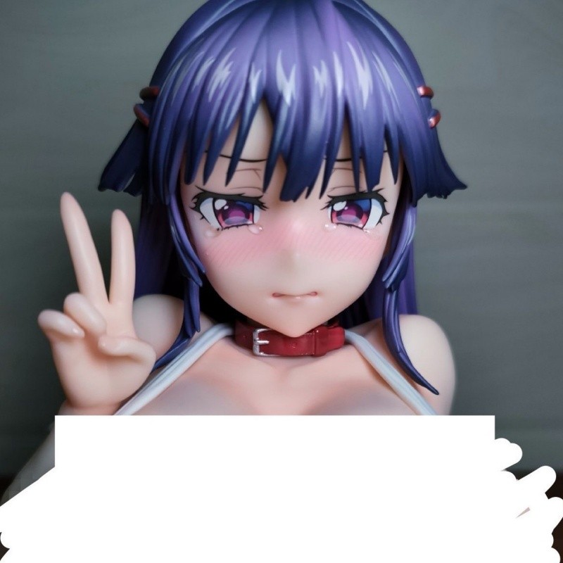 Chizuru-Chan Kaihatsu Nikki Anime Figure Native Nocturne Shiina Chi Zuru Girl Anime Action Figures