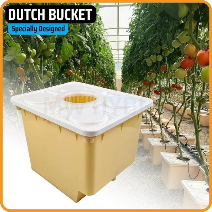 Dutch Bucket / Bato Bucket Hidroponik Original