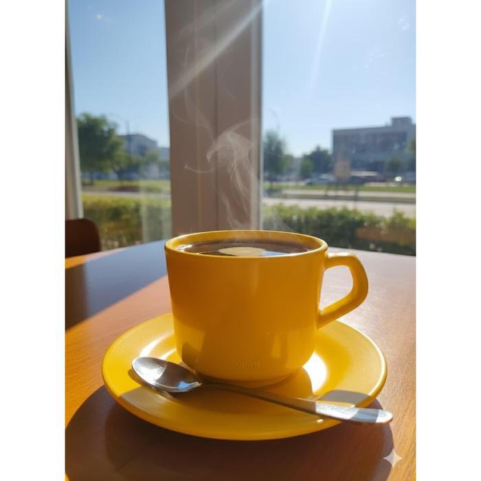 SET CANGKIR + TATAK ( 6 Gelas Cangkir Kopi dan 6 Tatak) BAHAN Melamin Berkualitas Tinggi - Minuman