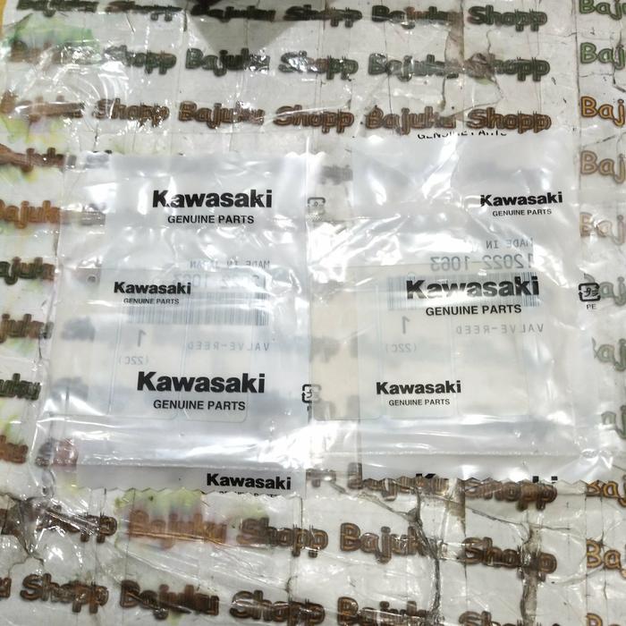 Lidah Membran Kx85 17 Desember 2018