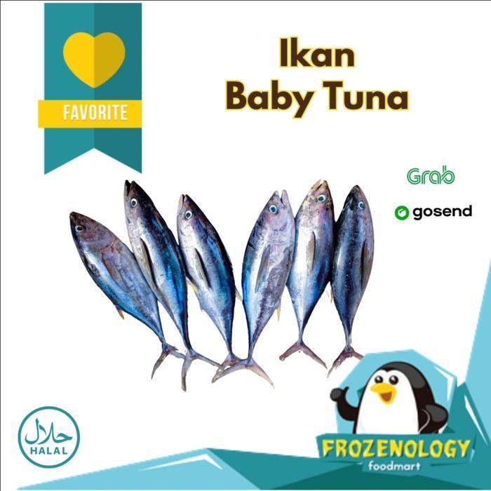 Ikan Baby Tuna Utuh 1 Kg Frozen