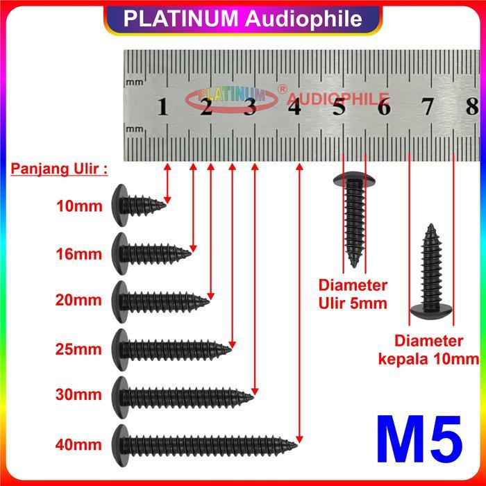 "New" Sekrup Hitam M5 50pcs Speaker Baut Skrup kasar lancip tajam Carbon Steel