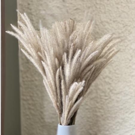 Kapas Ilalang Putih Buket Bunga Kering Dried Flowers Rustic